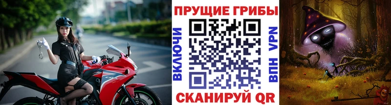 Псилоцибиновые грибы Cubensis  Дмитриев 